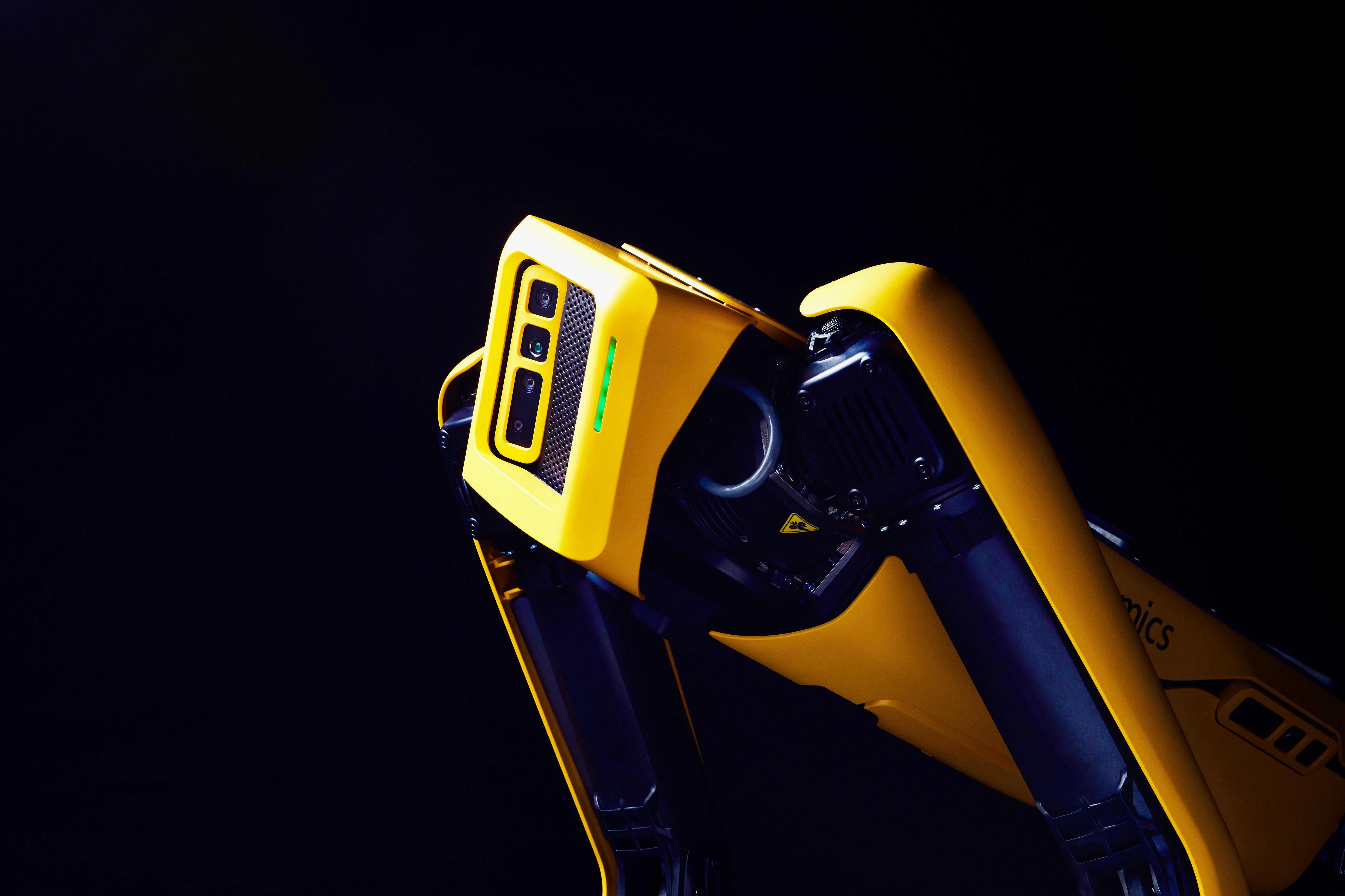 Foto Tinbot